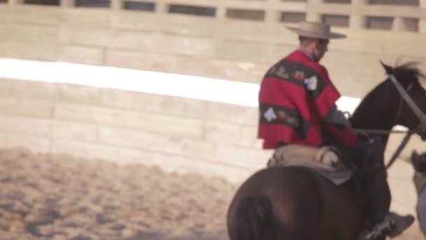 Rodeo in Chile — Stock Video