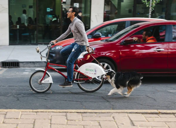 Bisiklet, Mexico City binmek