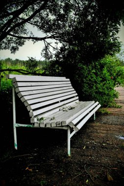 Parktaki beyaz bank.