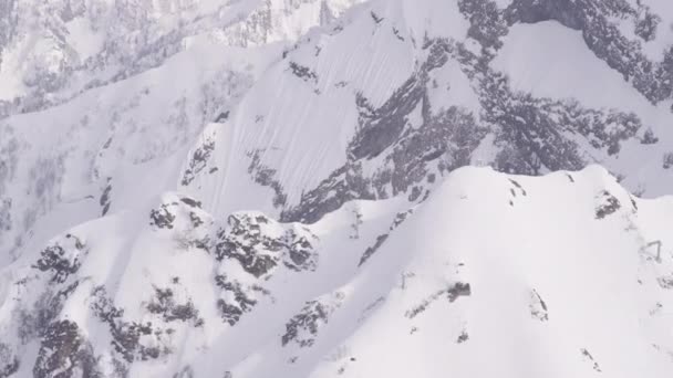 自然。山。雪。フォレスト — ストック動画