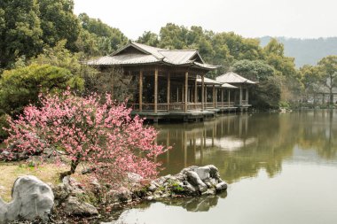 Güzel Çin bahçeleri