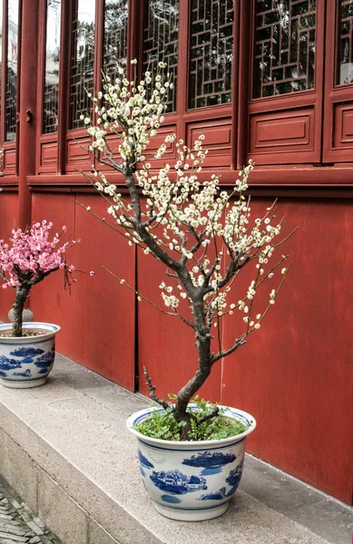 Hermosos jardines chinos Imagen de stock