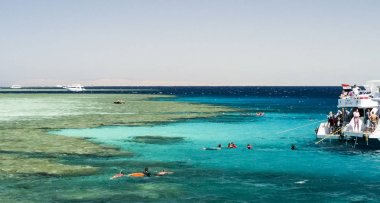 Red sea, Mısır şnorkel