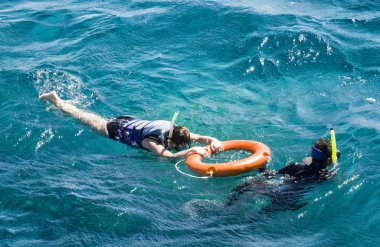 Red sea, Mısır şnorkel