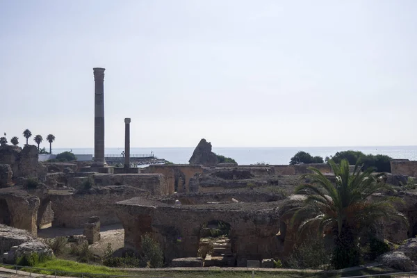 Ερείπια Καρχηδόνα Της Τυνησίας — Φωτογραφία Αρχείου