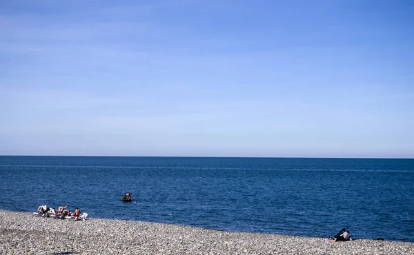 Batumi Γεωργία 2019 Τροπική Και Πετρώδης Παραλία Καλό Για Φόντο — Φωτογραφία Αρχείου