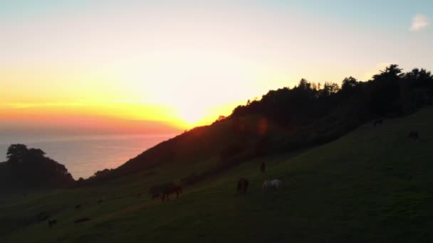 Littoral Coucher Soleil Rochers Silhouette — Video