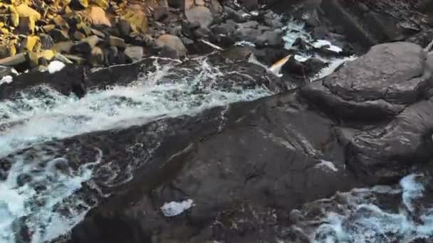 Rio Montanha Com Cachoeiras Hora Inverno — Vídeo de Stock