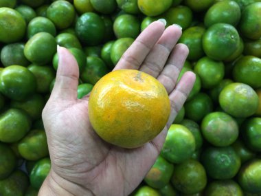 Genç adam bir mandalina elinde tutan.