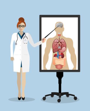 İnsan anatomisi düz çizimi diyagramı olan işaretleyici ve sunum tahtası olan güzel bir kadın doktor. Web pankartları, web siteleri, yazdırılmış materyaller, bilgi grafikleri için düz tasarım kavramları.