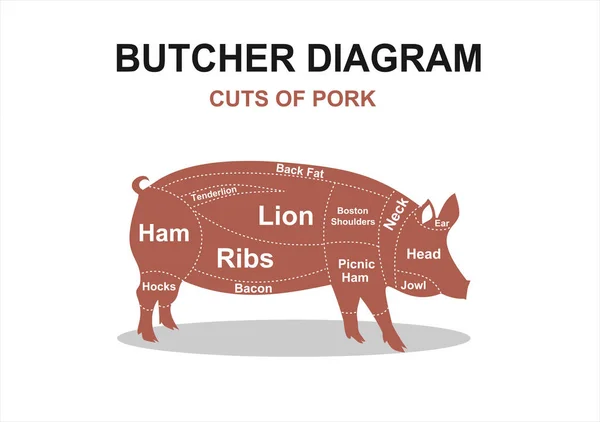 Cut Meat Set Poster Butcher Diagram Scheme Guide Pork Vector — Stock Vector