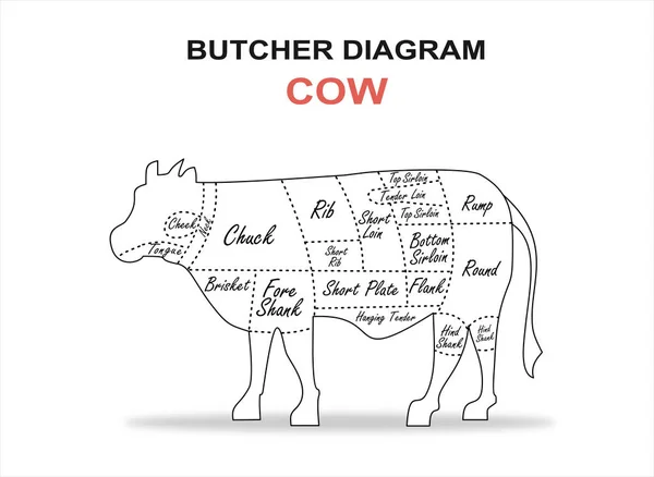 Cut Beef Set Poster Butcher Diagram Cow — Stock Vector