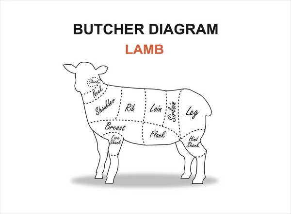 Nedskärning Nötköttsmängden Poster Butcher Diagram Och Schema Lamm Vektorillustration — Stock vektor