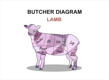 Biftek dilimi. Poster Kasabı diyagramı ve şeması - Lamb. Vektör illüstrasyonu