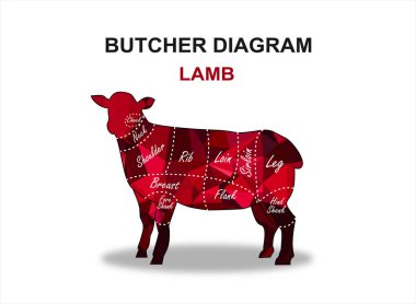 Biftek dilimi. Poster Kasabı diyagramı ve şeması - Lamb. Vektör illüstrasyonu