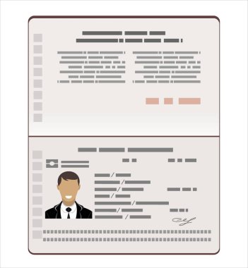 Pasaport web pankartı, basitçe vektör illüstrasyonu    