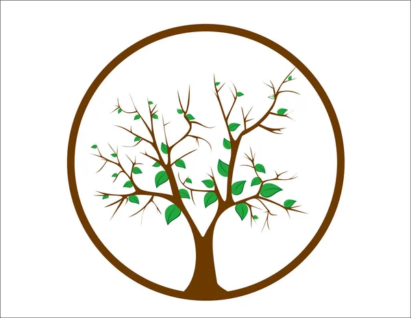 Niedlicher Baum Mit Blättern Und Braunem Farbkreis Vektor — Stockvektor
