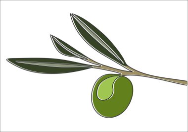 Sürekli bir çizgi çiziyor. Vektör illüstrasyonu, zeytin dalı