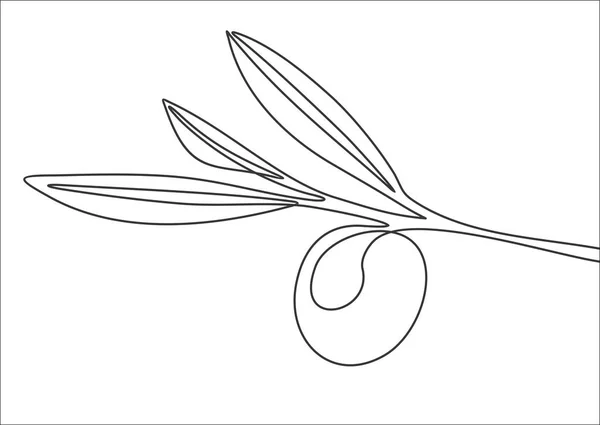 Continuous One Line Drawing Vector Illustration Olive Branch Silhouette — Stock Vector