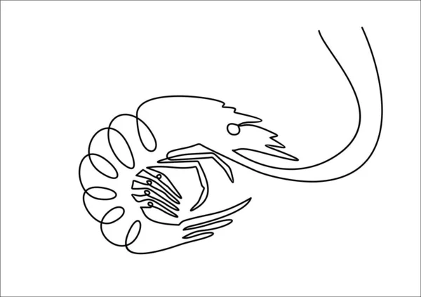 Disegno Continuo Una Linea Illustrazione Vettoriale Gamberetti Sfondo Bianco — Vettoriale Stock