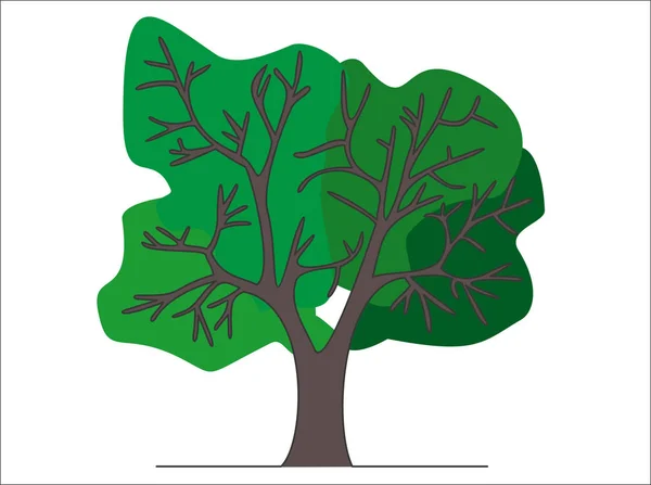 Disegno Continuo Una Linea Illustrazione Vettoriale Albero Isolato Sfondo Bianco — Vettoriale Stock