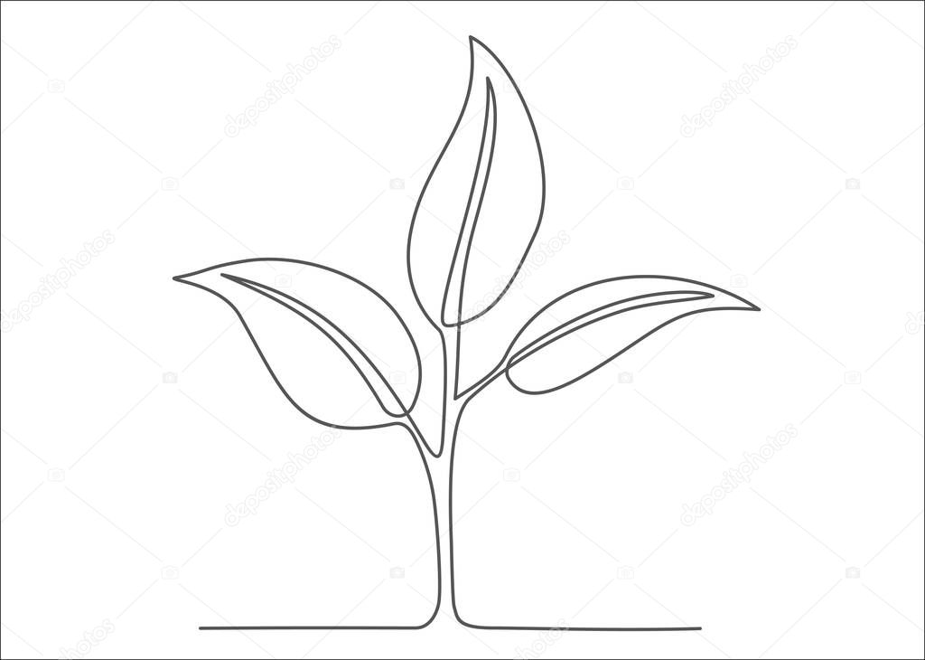 Continuous one line drawing. Vector illustration of plant
