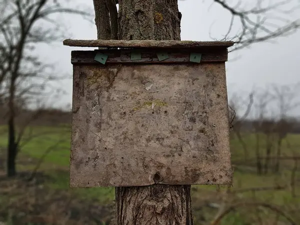 Доска объявлений на дереве — стоковое фото