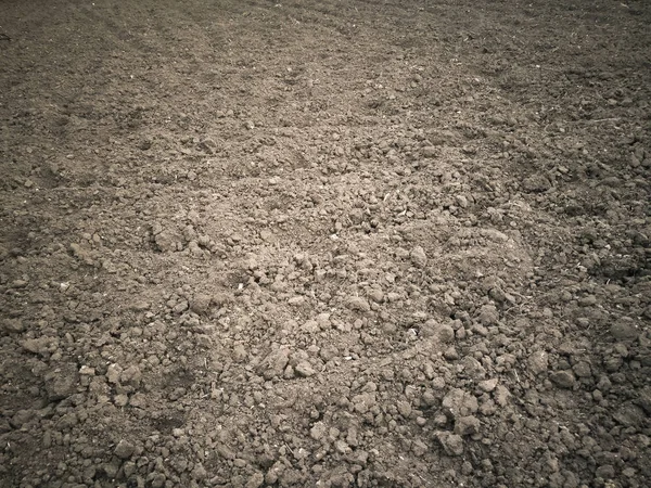 Brown soil background — Stock Photo, Image