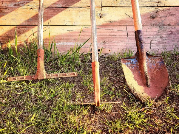 Juego de herramientas de jardín —  Fotos de Stock