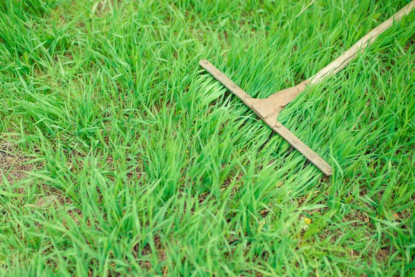 Groen gras en hark — Stockfoto