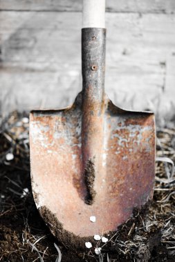 Taze toprak kirli kürek.
