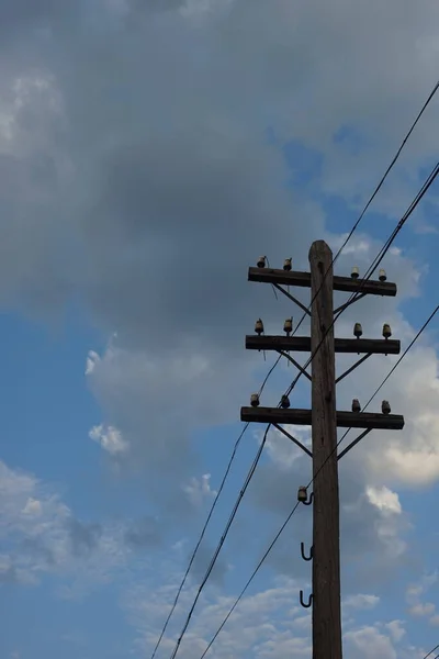 Retro wooden electric pole in a blue cloudy sky background. — Stock Photo, Image