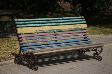 Sonbahar güneşli parkında rengarenk kabuğu soyulmuş bir bankta..