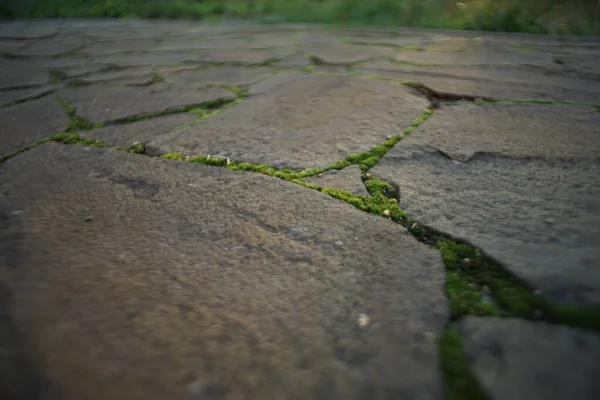 Kamenná cesta z přírodního kamene se zeleným mechem mezi švy. — Stock fotografie