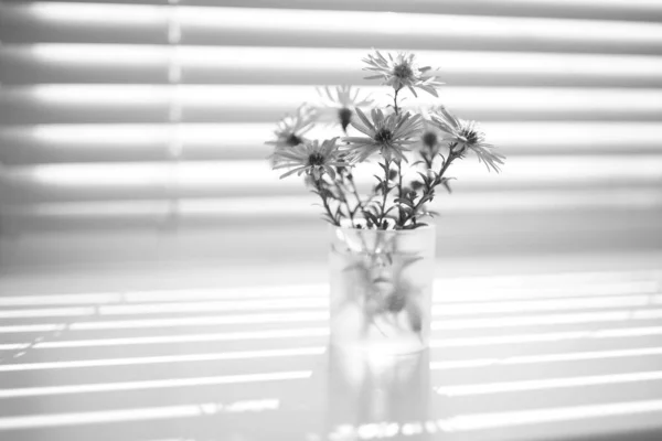 Прекрасний маленький букет з хризантем на підвіконні, фото . — стокове фото