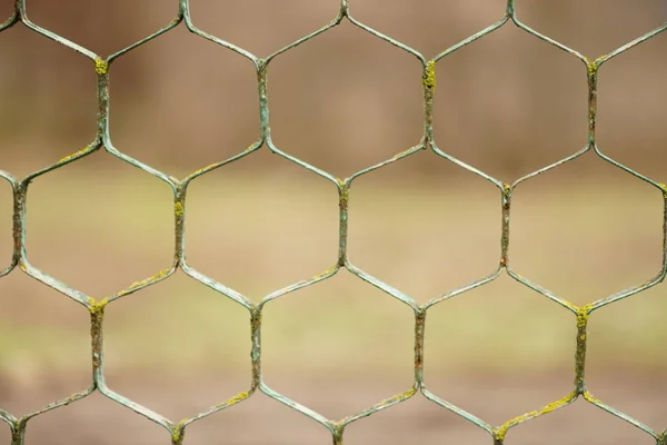 Alter rostiger sechseckiger Maschendrahtzaun mit verschwommenem Bokeh. — Stockfoto