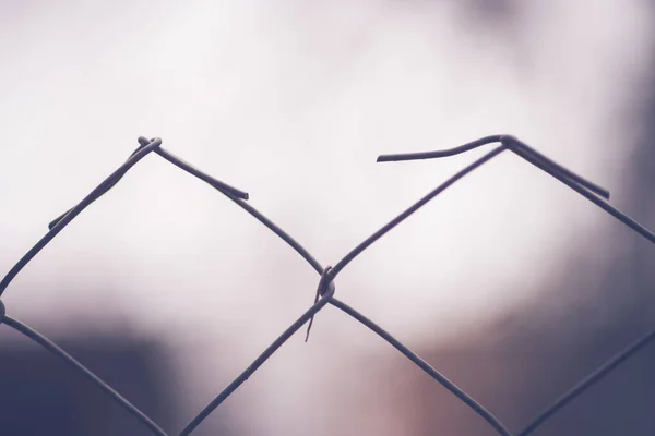 Barbed wire fence close up. Blurred background — Stock Photo, Image