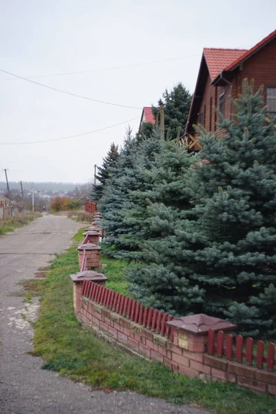 Route de campagne le long des chalets en bois avec sapins . — Photo