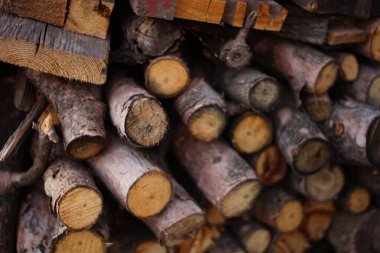 Kış için toplanan odunların farklı türleri..