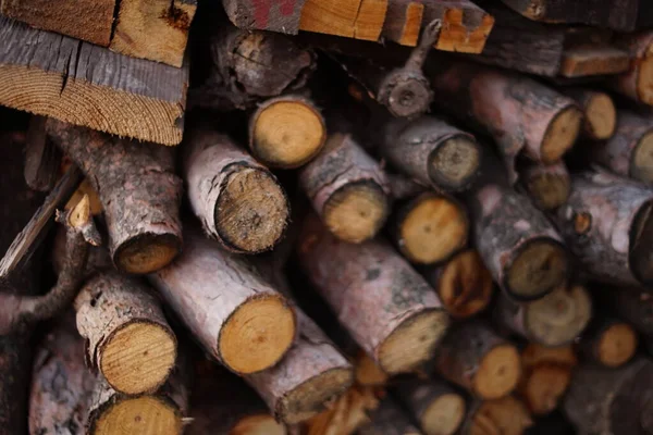 冬のために収穫されたさまざまな種類の木材のログ. — ストック写真