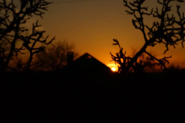 Napnyugta táj a faluban. Nap sugarakkal a ház teteje felett a sötét narancssárga égen. Fekete sziluettek faágak és vidéki otthon. — Stock Fotó