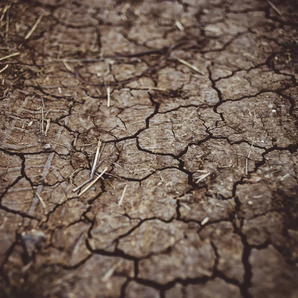 Tierra dura marrón en grietas, camino rural de cerca . — Foto de Stock
