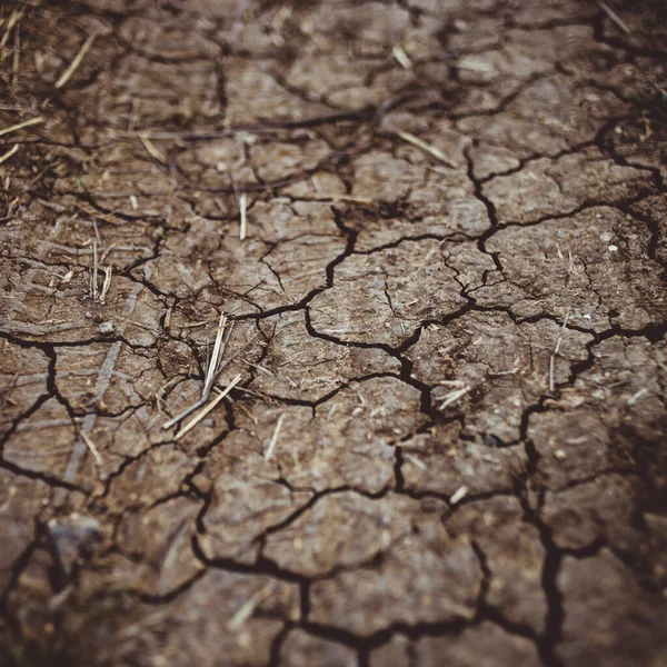 Brown hard earth in cracks, rural road close-up. — Stock Photo, Image