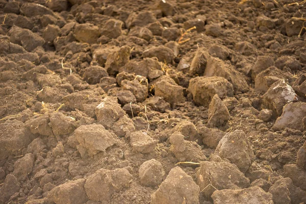 Opgegraven land close-up, verse grond voor achtergrond. — Stockfoto