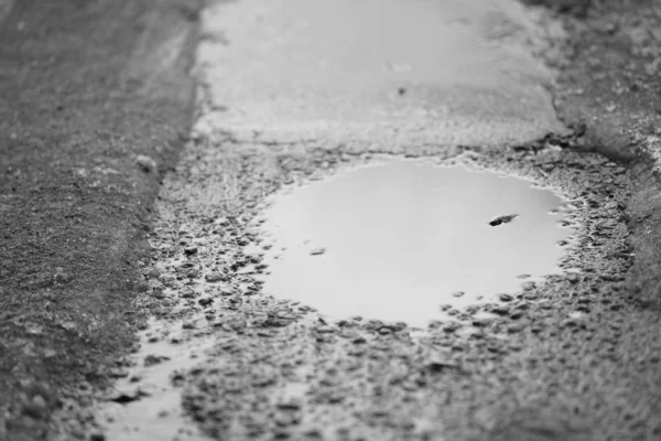 젖어 있는 아스팔트 길에 있는 흙탕물 , BW 사진. — 스톡 사진