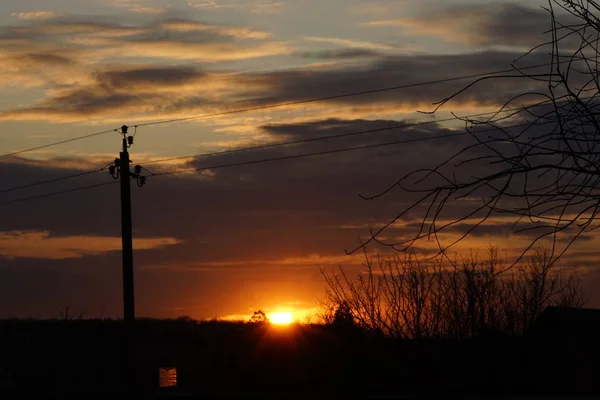 Silhouette di linee elettriche e rami contro il cielo del tramonto con il sole . — Foto Stock