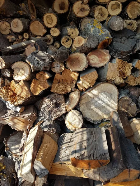 冬のために収穫されたさまざまな種類の木材の倉庫ログ — ストック写真