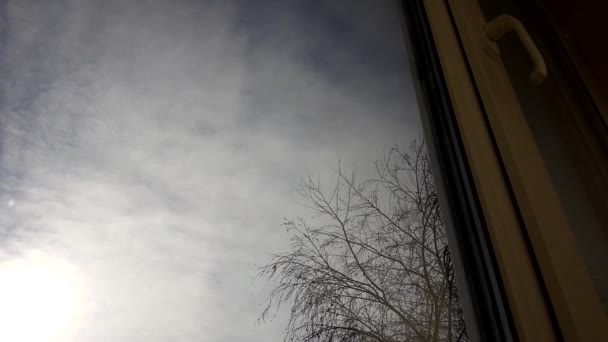 Vista Desde Una Ventana Oscura Una Casa Sobre Abedul Con — Vídeos de Stock