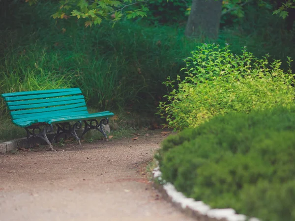 Sihirli parktaki eski mavi ahşap bankta. — Stok fotoğraf