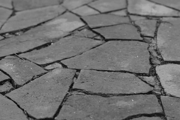 La route pavée de pavés sauvages de différentes formes, photo noir et blanc . — Photo